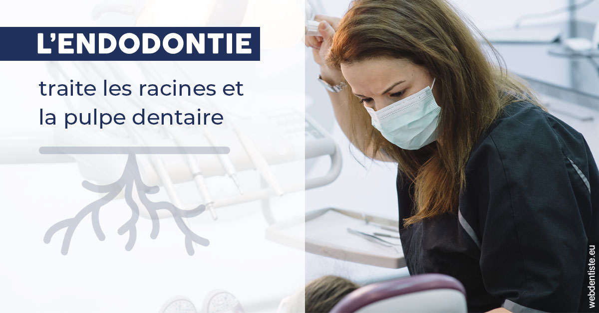 https://dr-devoldere-gauthier.chirurgiens-dentistes.fr/L'endodontie 1
