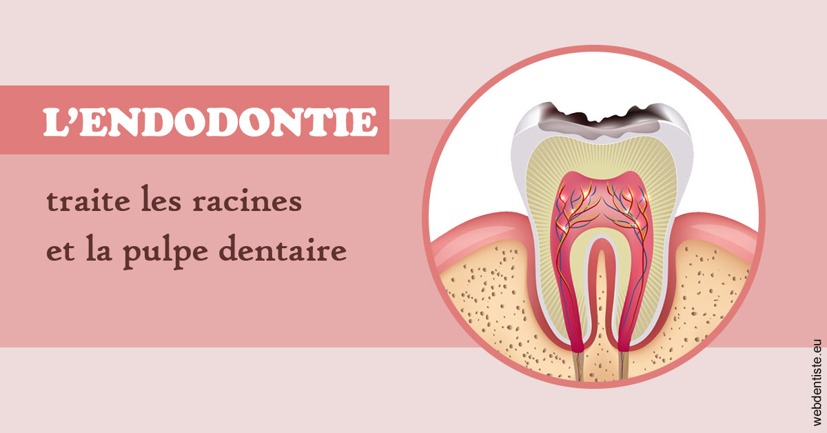 https://dr-devoldere-gauthier.chirurgiens-dentistes.fr/L'endodontie 2