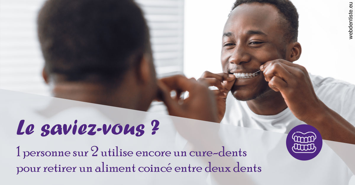 https://dr-devoldere-gauthier.chirurgiens-dentistes.fr/Cure-dents 2