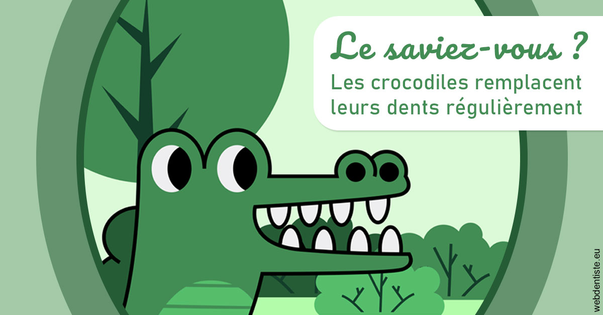 https://dr-devoldere-gauthier.chirurgiens-dentistes.fr/Crocodiles 2